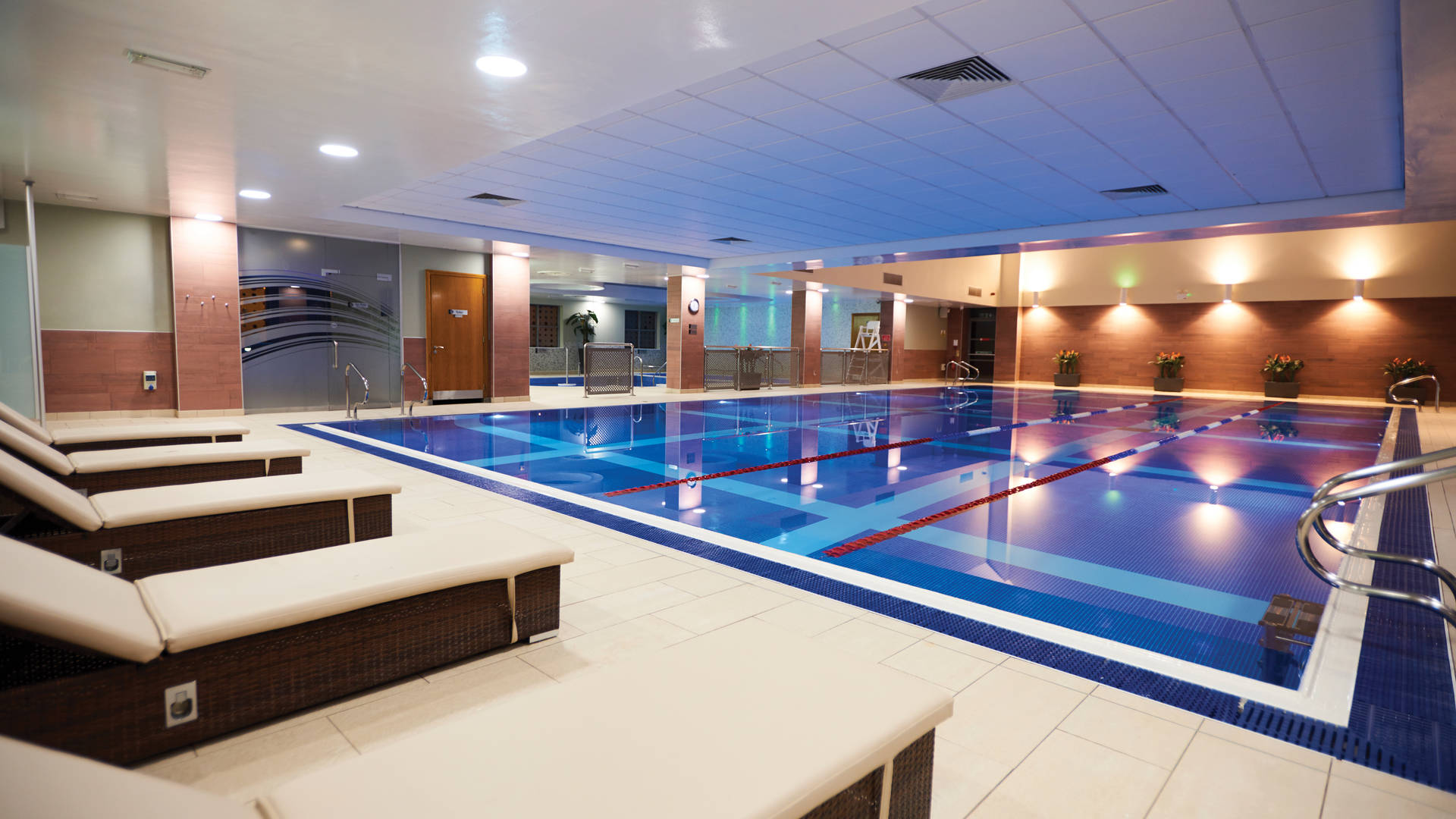 Swim Image